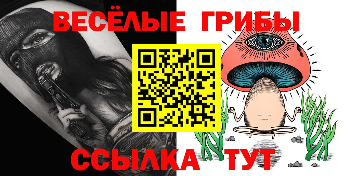 Меф   Вход с VPN  ГАШИШ  Выборг  Где продают наркотики? 
