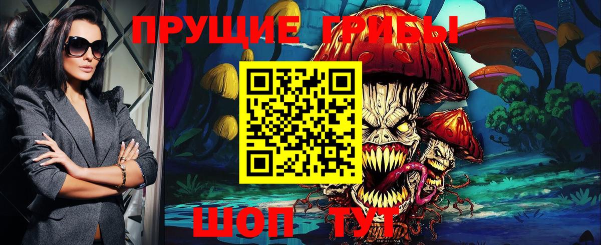 Псилоцибиновые грибы Cubensis Выборг
