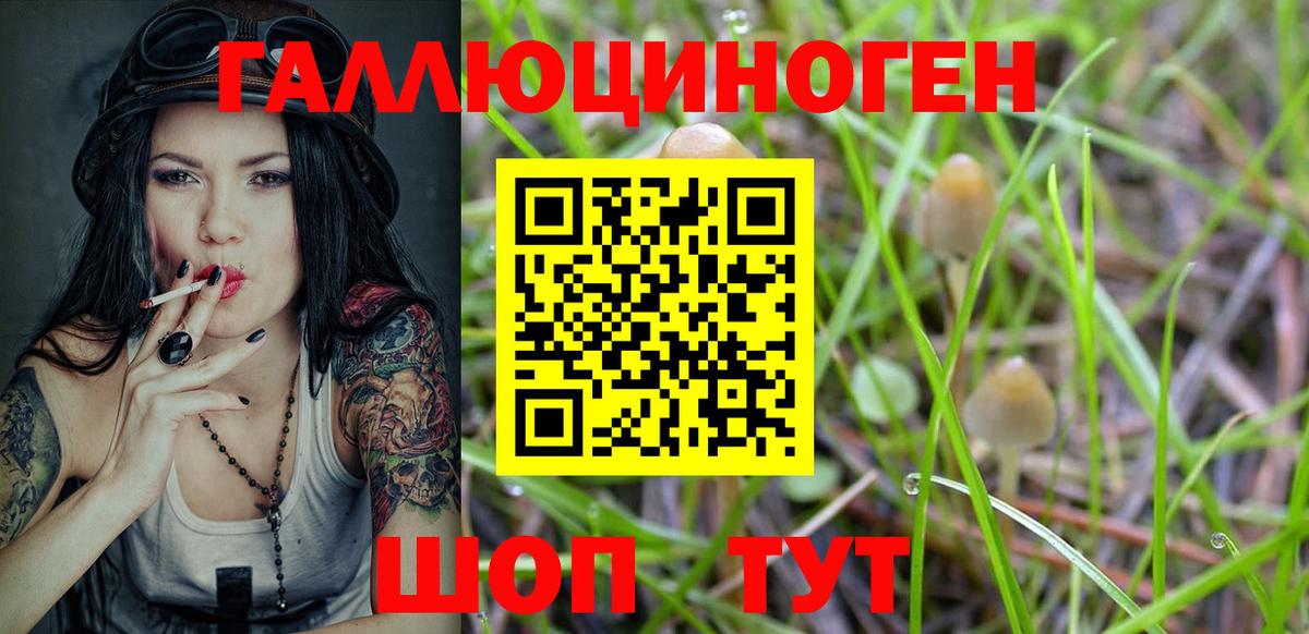 Выборг  Галлюциногенные грибы прущие грибы  Вход с VPN  Галлюциногенные грибы MAGIC MUSHROOMS 